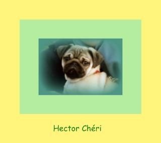 Hector (Sans Affixe)