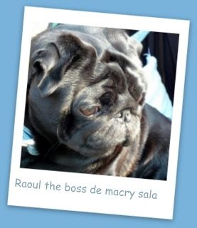 The boss De macry sala